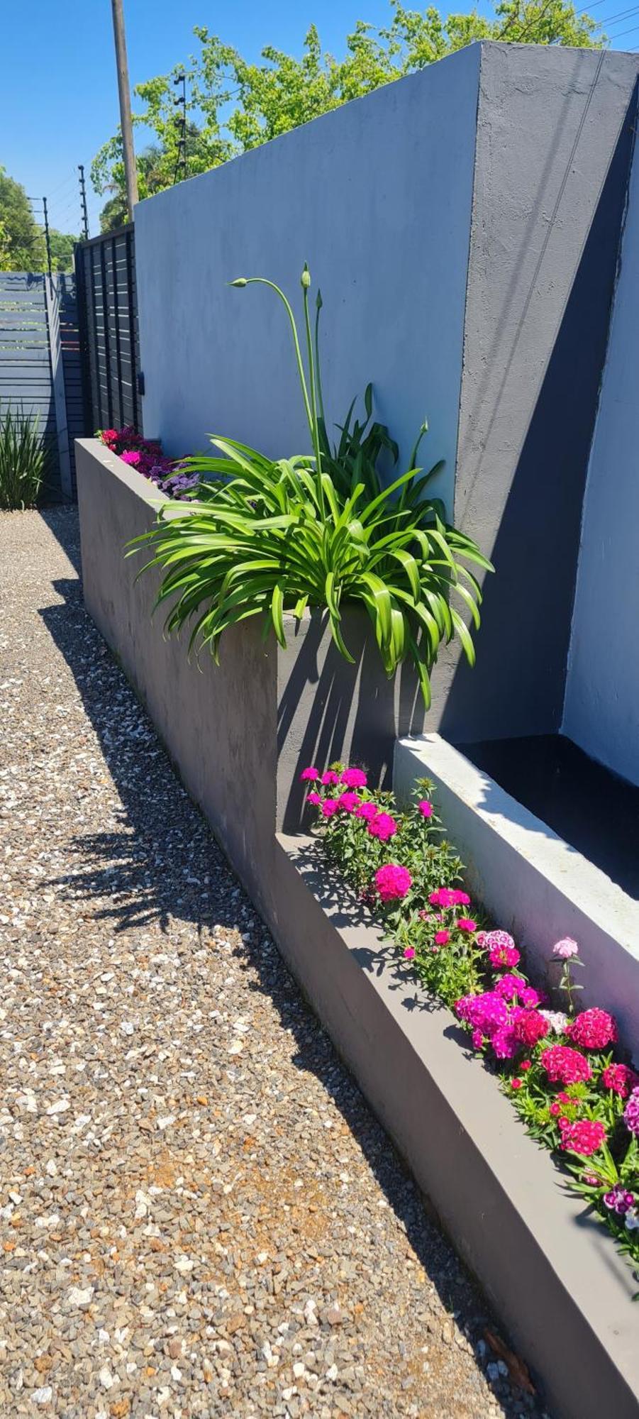 Mosswood Bed & Breakfast Graskop Buitenkant foto