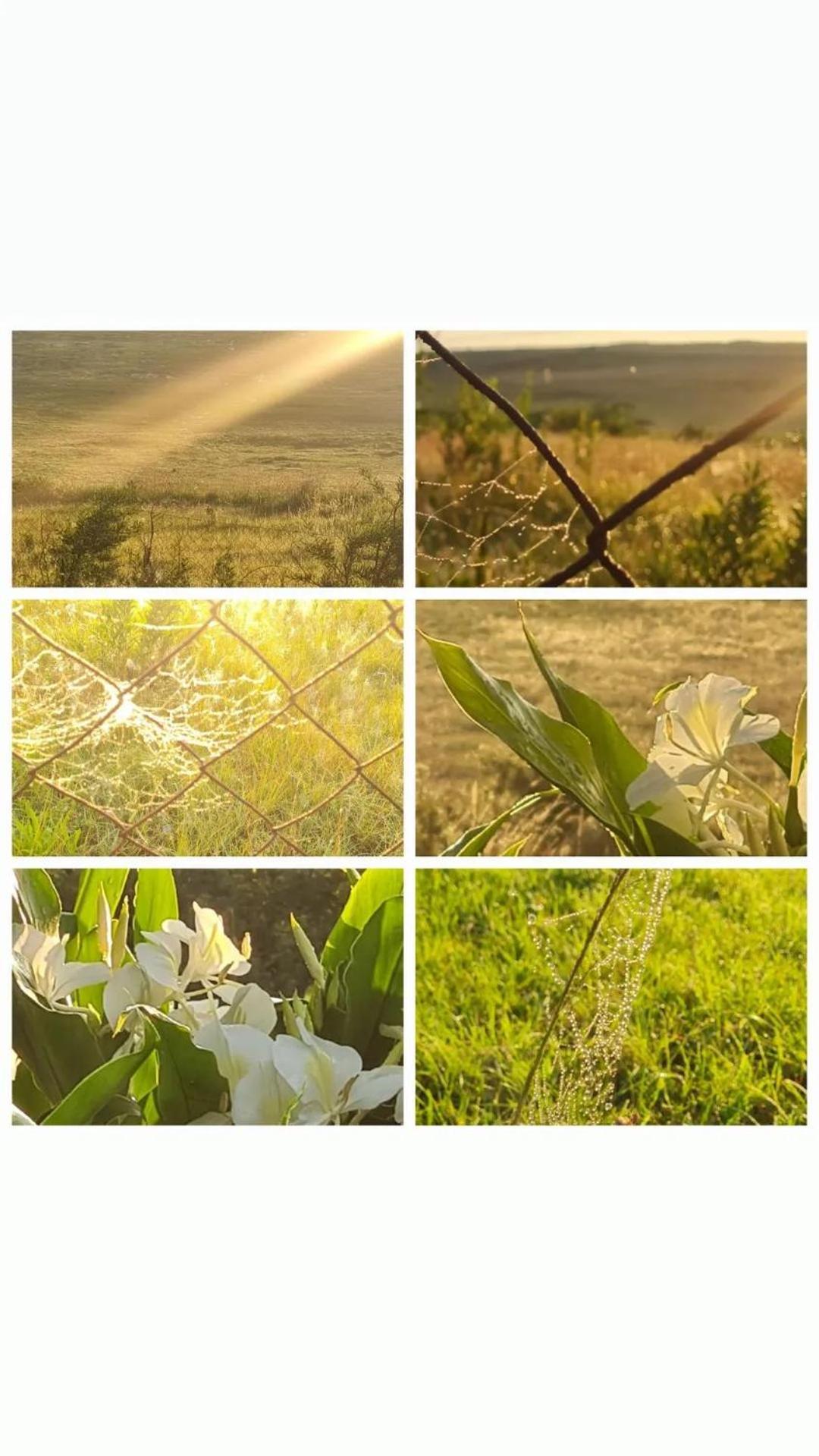 Mosswood Bed & Breakfast Graskop Buitenkant foto