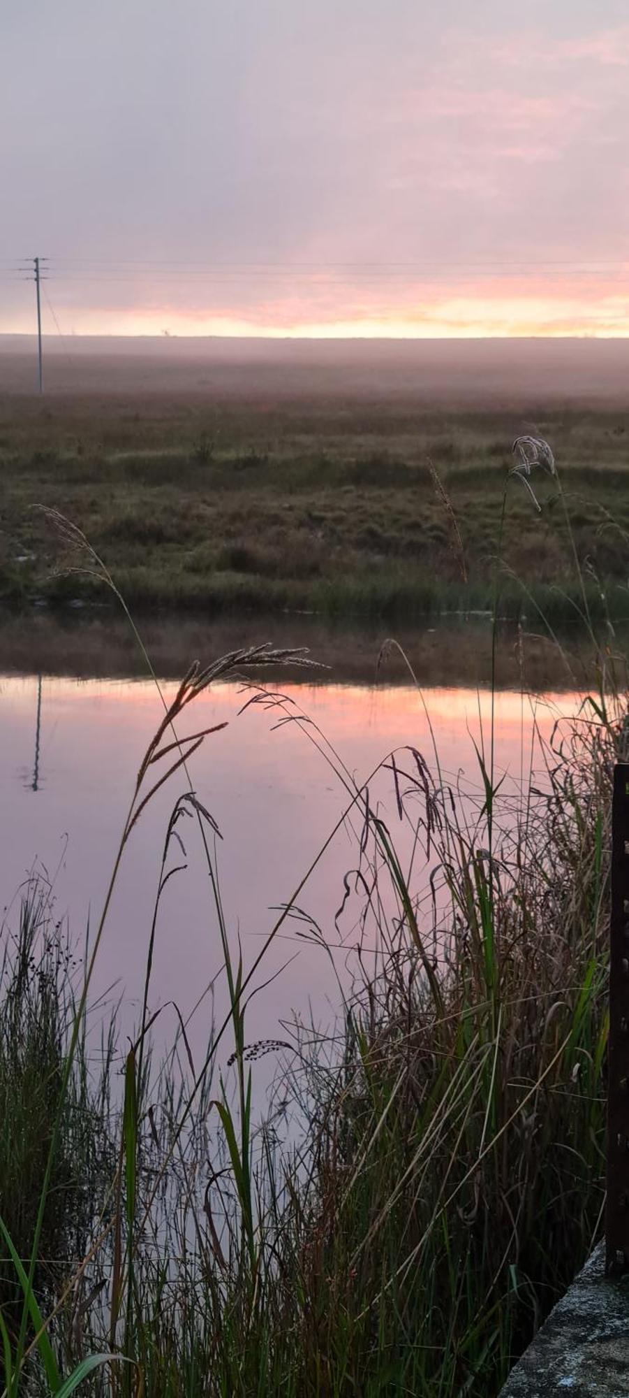 Mosswood Bed & Breakfast Graskop Buitenkant foto
