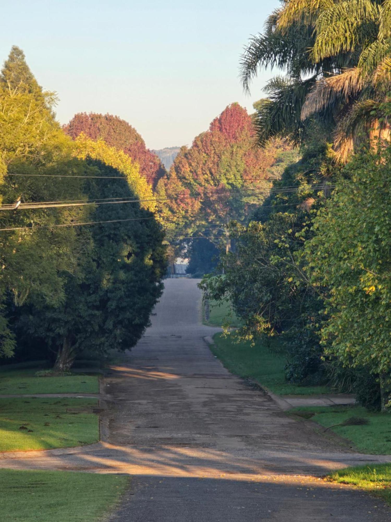 Mosswood Bed & Breakfast Graskop Buitenkant foto