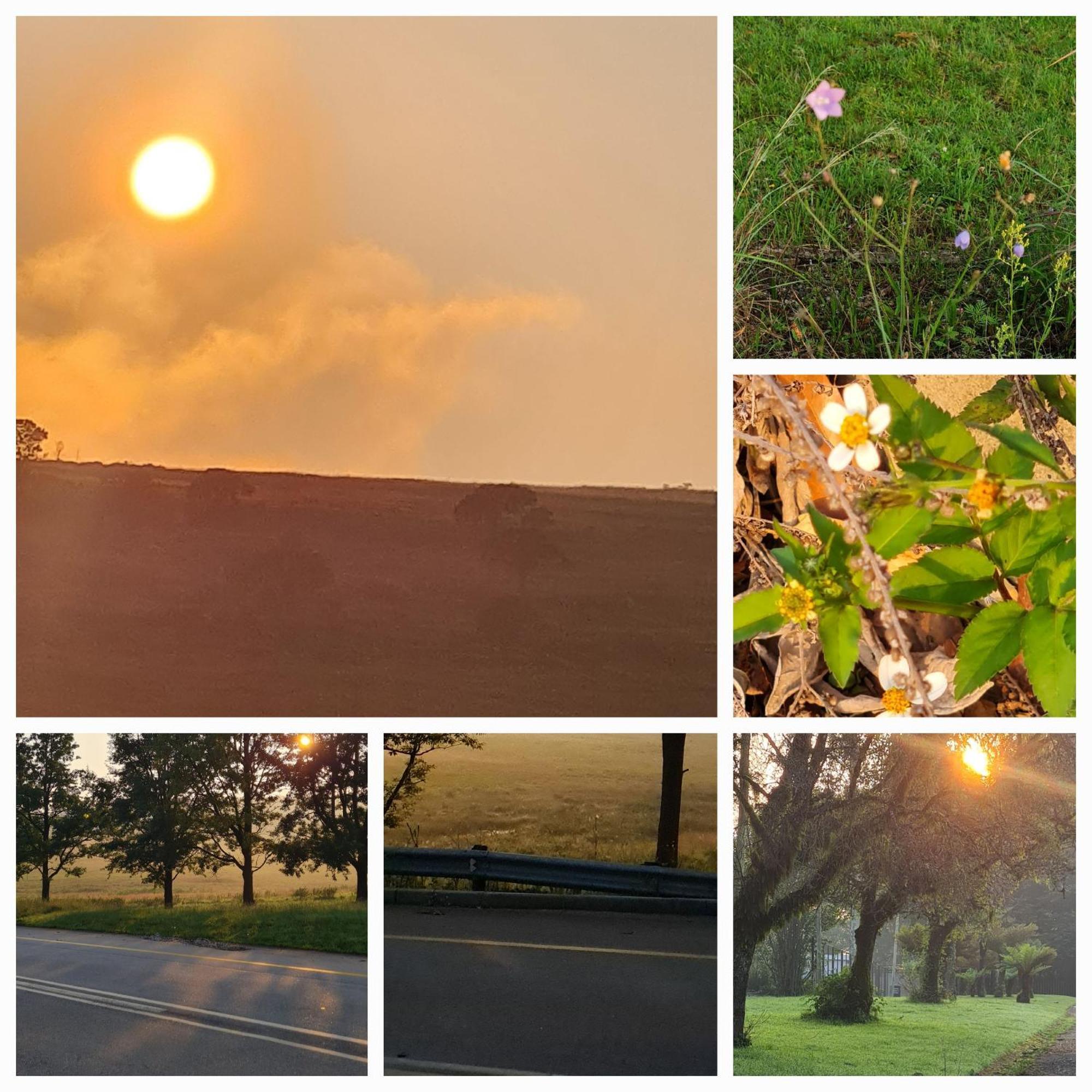Mosswood Bed & Breakfast Graskop Buitenkant foto
