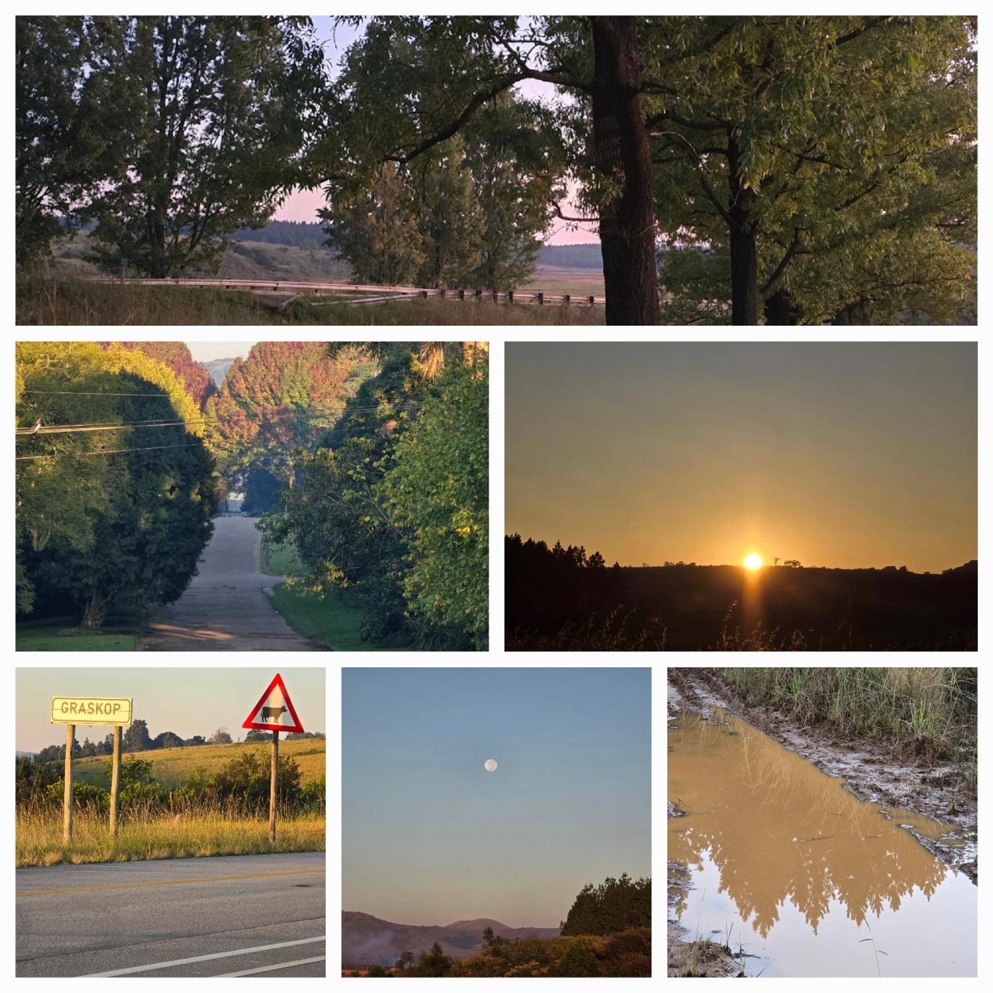 Mosswood Bed & Breakfast Graskop Buitenkant foto