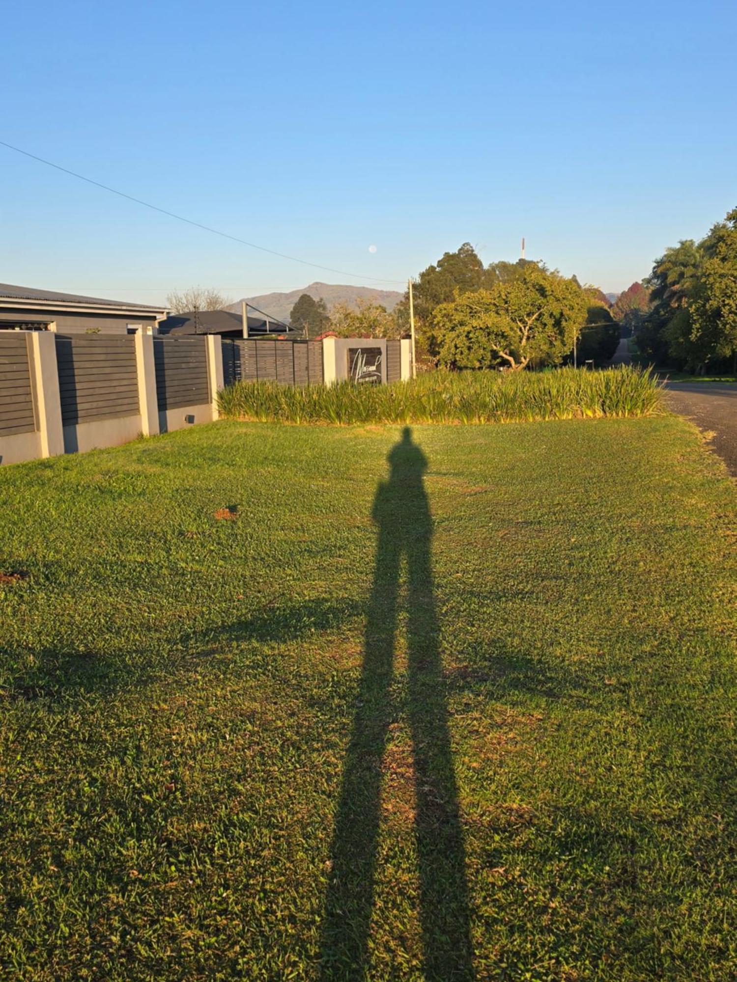 Mosswood Bed & Breakfast Graskop Buitenkant foto