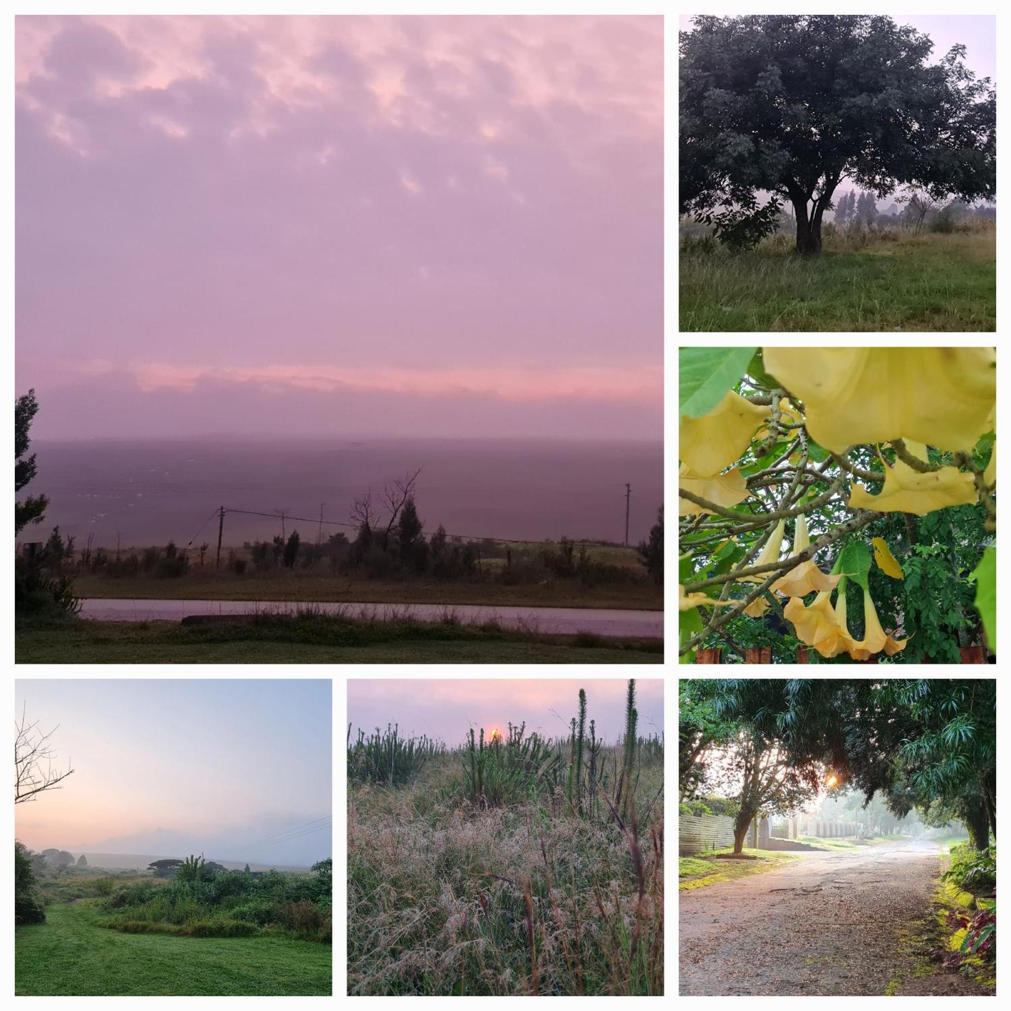 Mosswood Bed & Breakfast Graskop Buitenkant foto