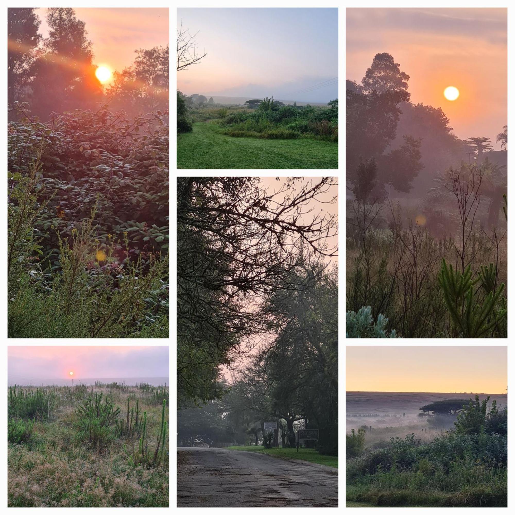 Mosswood Bed & Breakfast Graskop Buitenkant foto