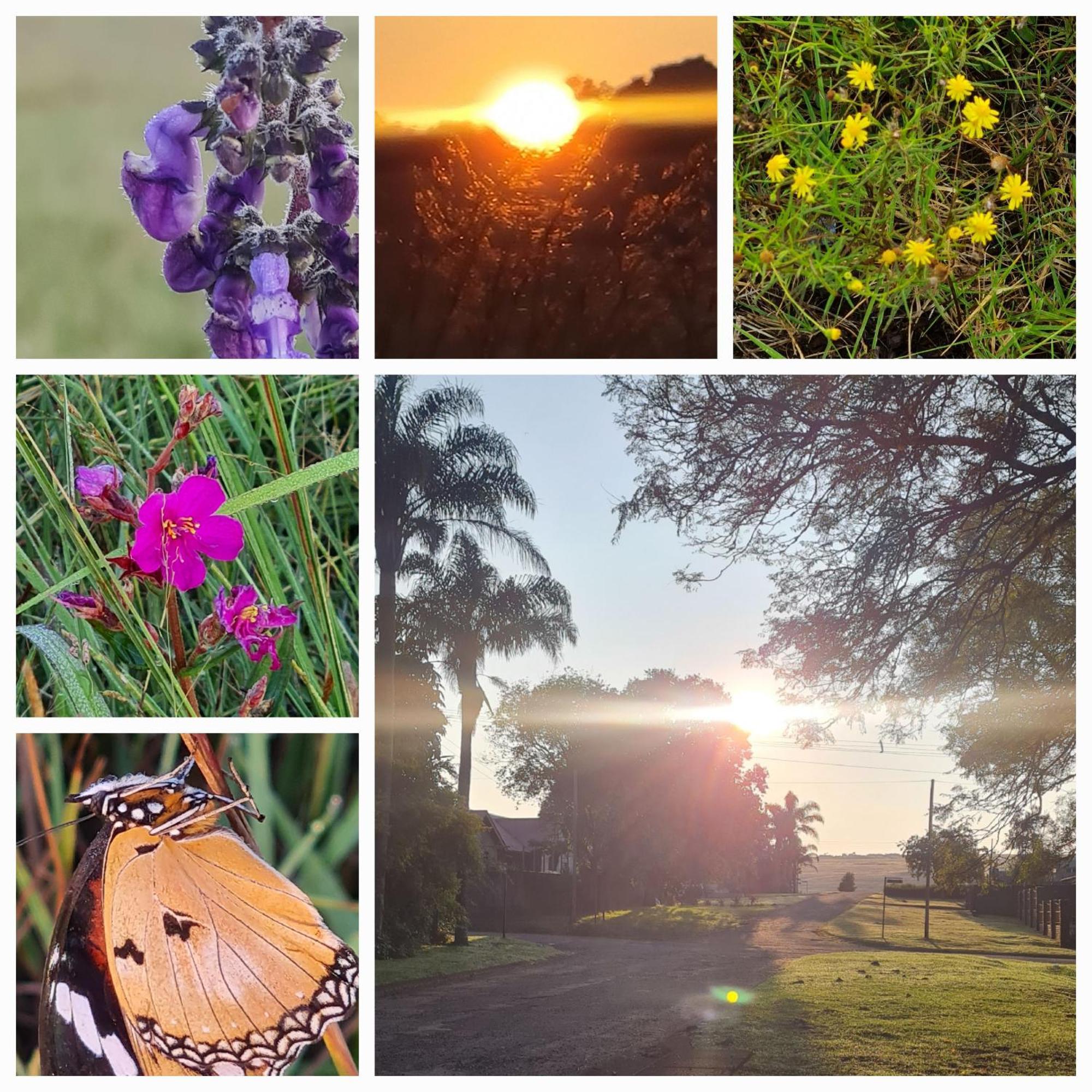 Mosswood Bed & Breakfast Graskop Buitenkant foto