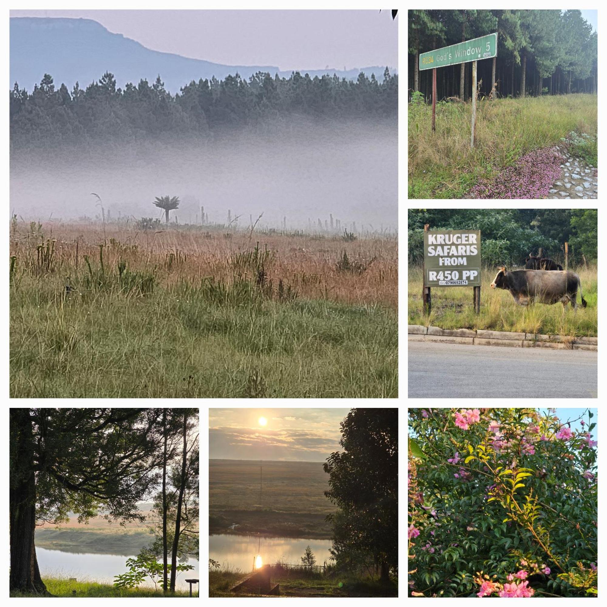 Mosswood Bed & Breakfast Graskop Buitenkant foto